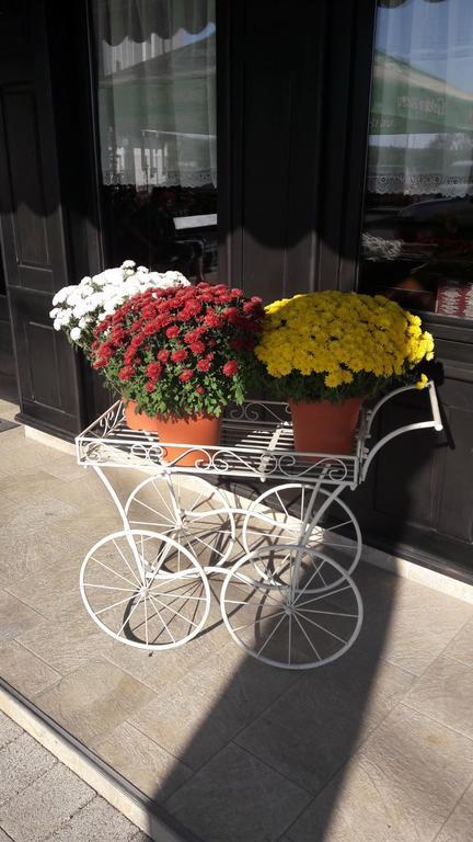 Casa Caroli Hotel Târgu Jiu Buitenkant foto